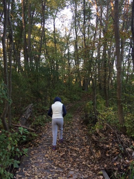 sukkot-meditation-myra-2015